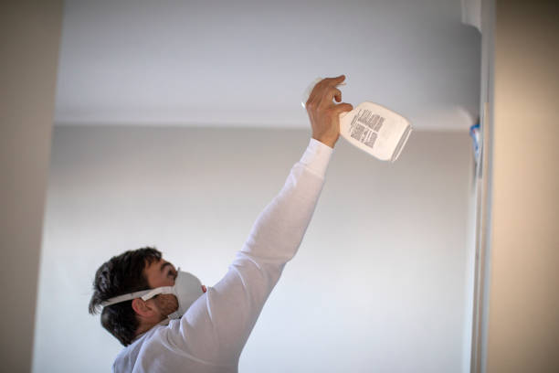 Best Professional Mold Removal  in Spring Grove, PA