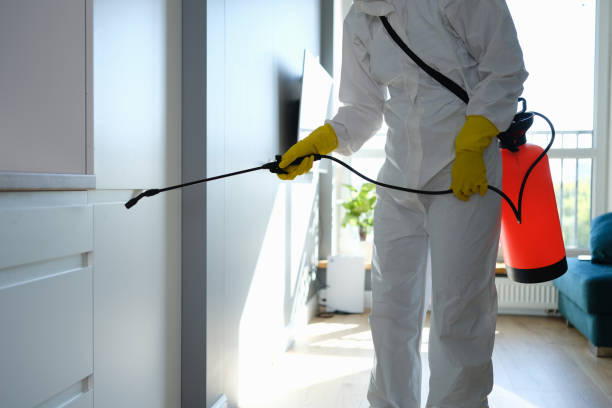 Best Home Mold Removal  in Spring Grove, PA